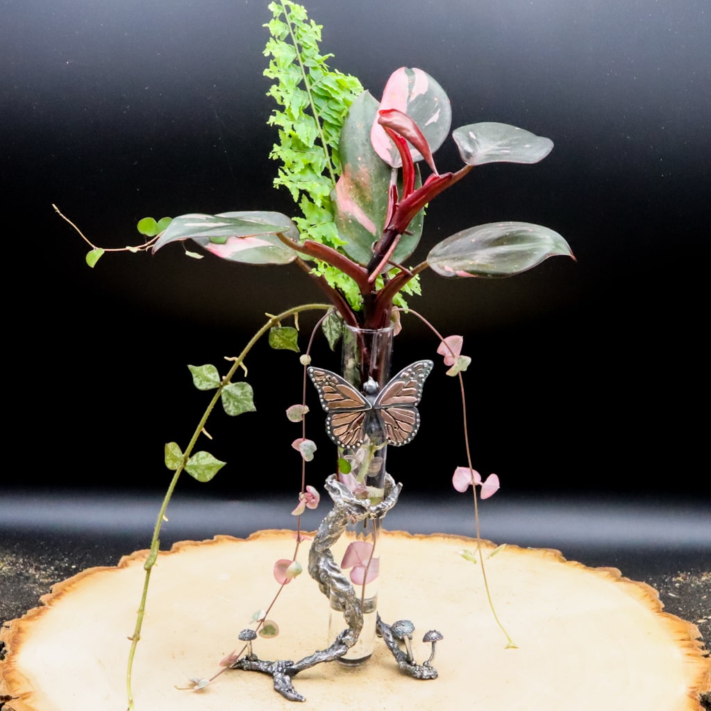 A one of a kind sterling silver and copper plant propagation station. A glass tube is wrapped around with silver made to look like a tree branch. There are tiny mushrooms at the foot of the holder and a larger silver and copper monarch butterfly at the top of the branch. The holder is shown with multi colored plant cuttings on a piece of light tan wood and a black background.