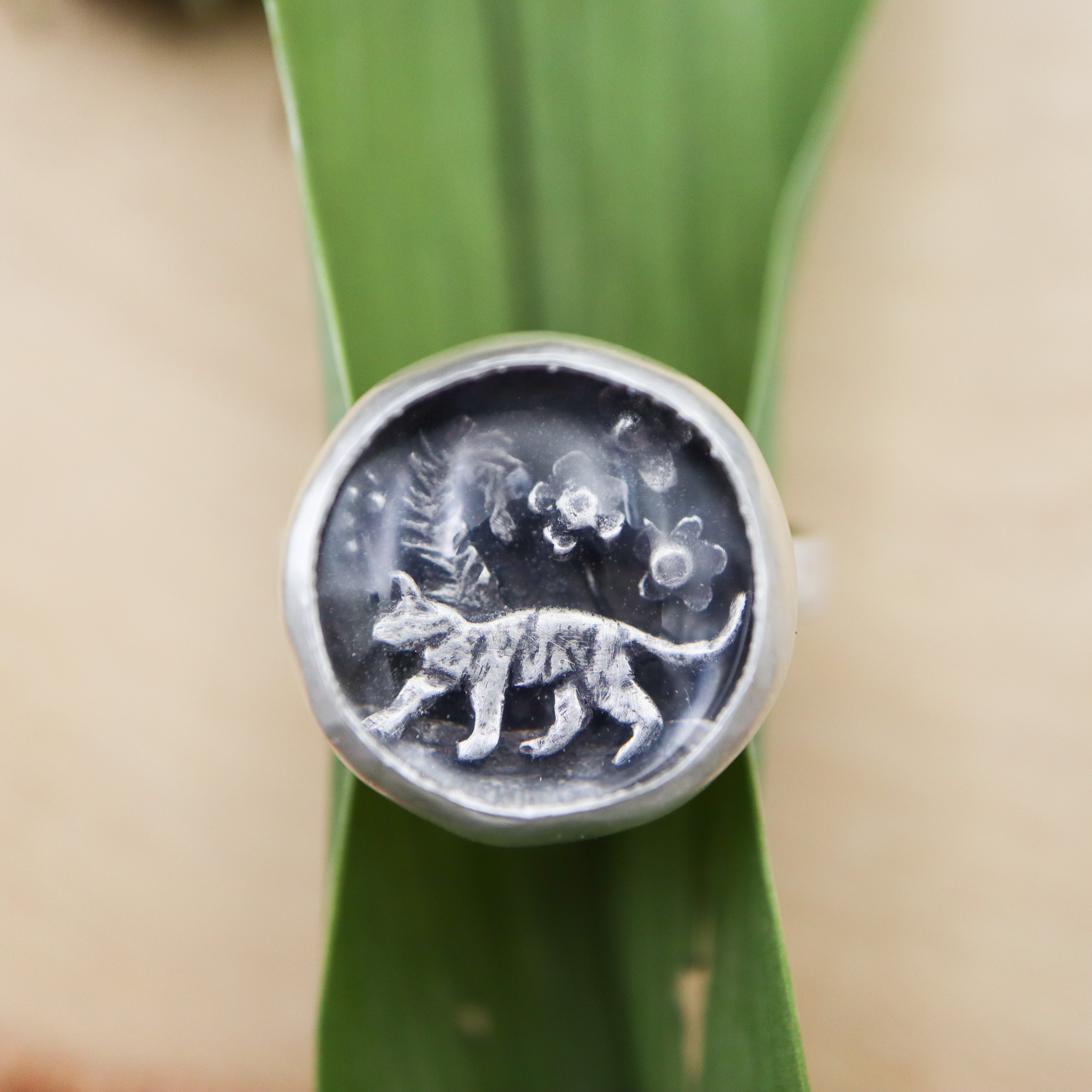 Naughty Cats & Houseplants - Wildflower Field Ring