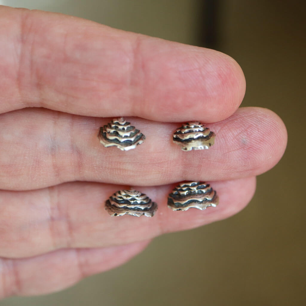 Turkey Tail Shelf Mushroom Stud Earrings