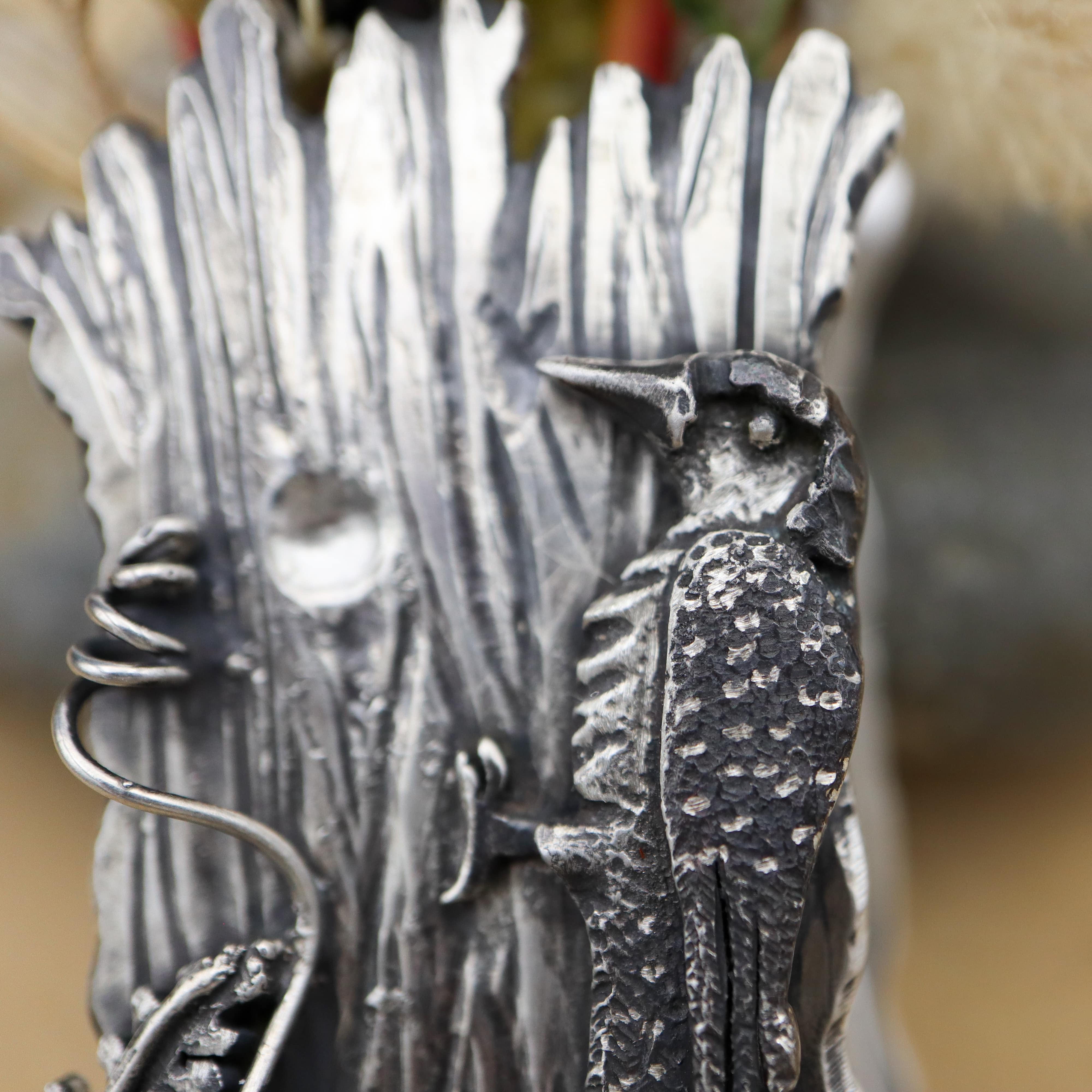 A close up of the face and back of the red bellied woodpecker showing it's barred wing pattern.