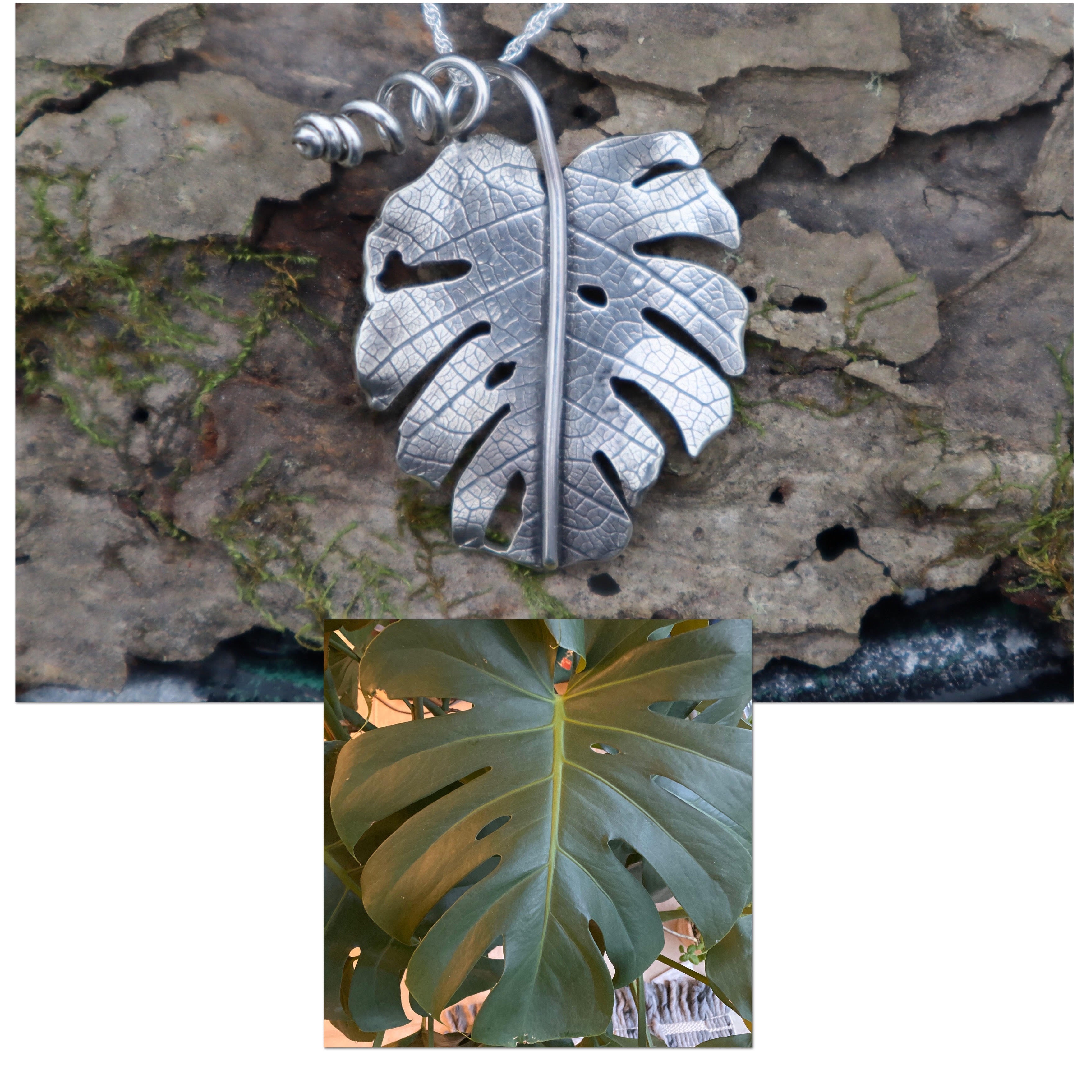 A photo of a real monstera deliciosa leaf that I made a sterling silver leaf to exactly replicate so that it can be worn on a necklace.
