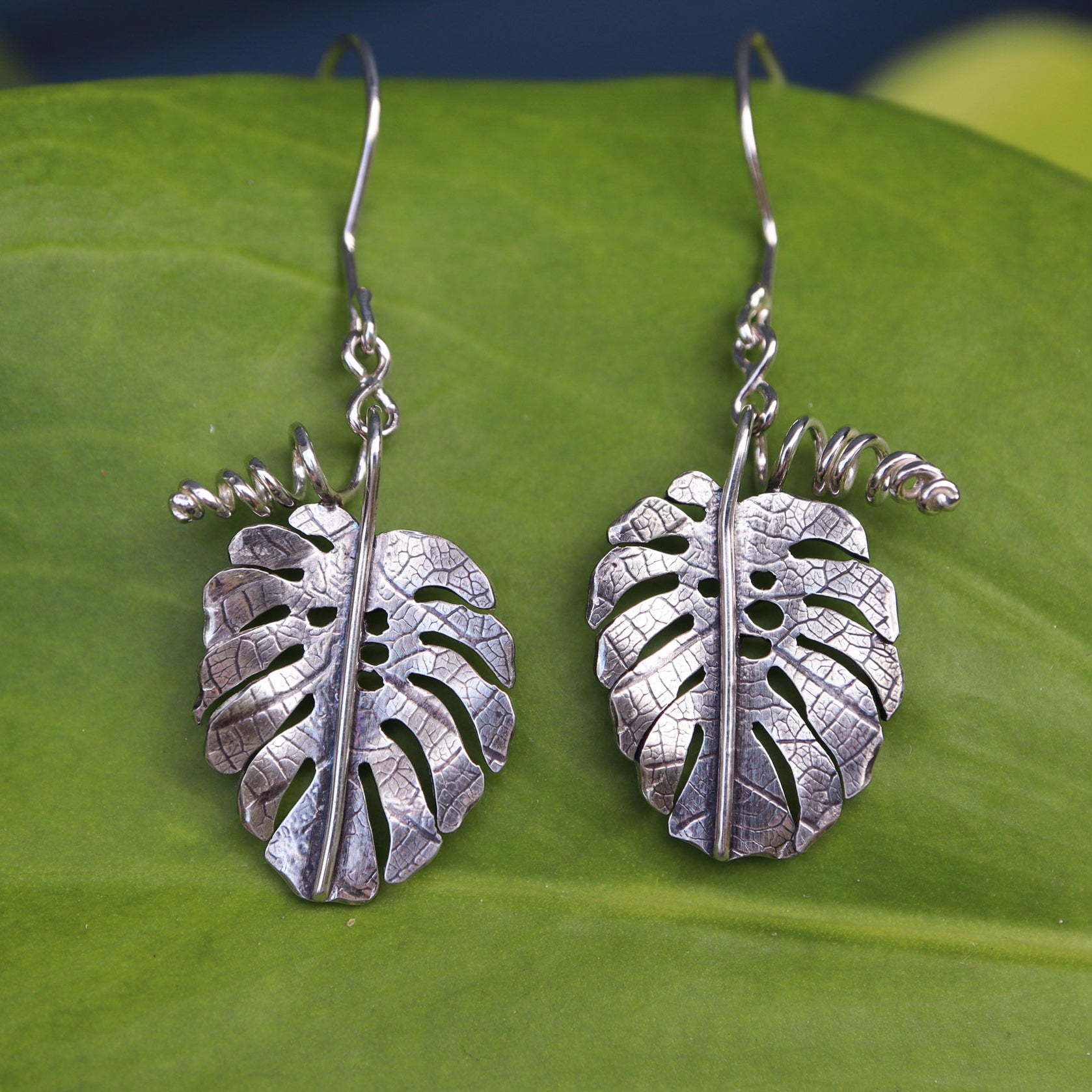 A pair of monstera deliciosa dangle earrings are shown on a light green plant leaf.