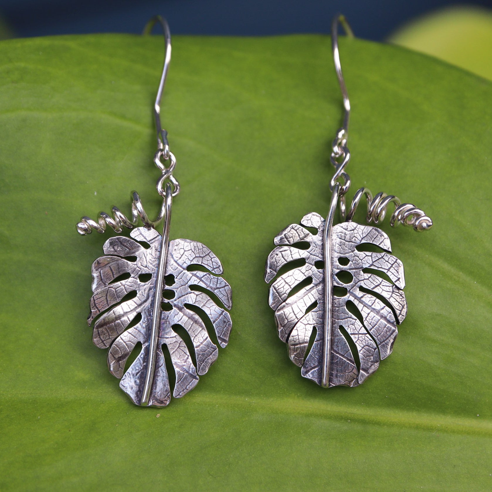 monstera deliciosa earrings Monstera Deliciosa Dangle Earrings