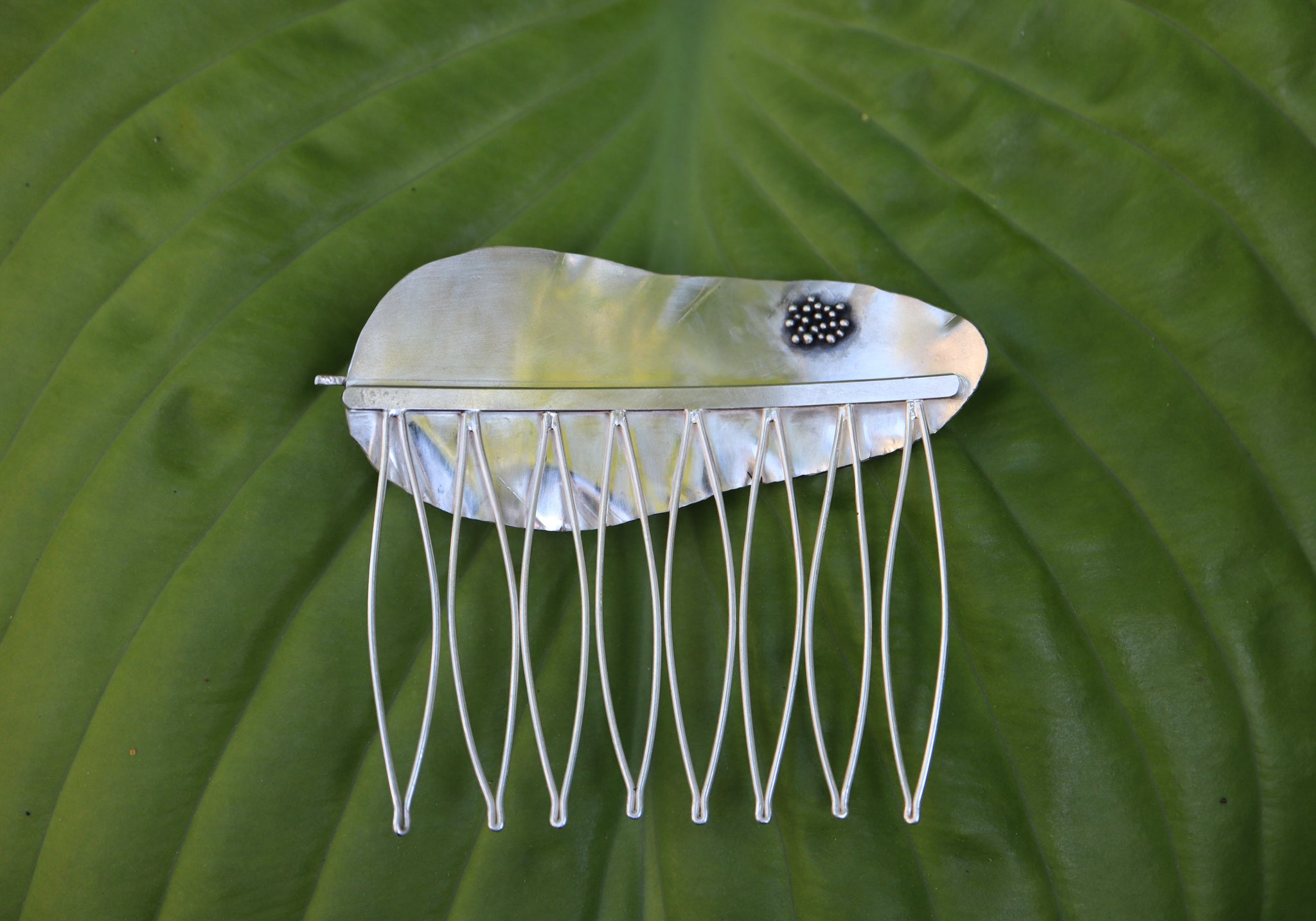 The entire back of the milkweed tussock moth hair comb. It shows the eggs and that it is about 3.25 inches wide.