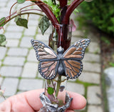 A closer photo of the monarch butterfly outdoors with pretty vines surrounding it. 