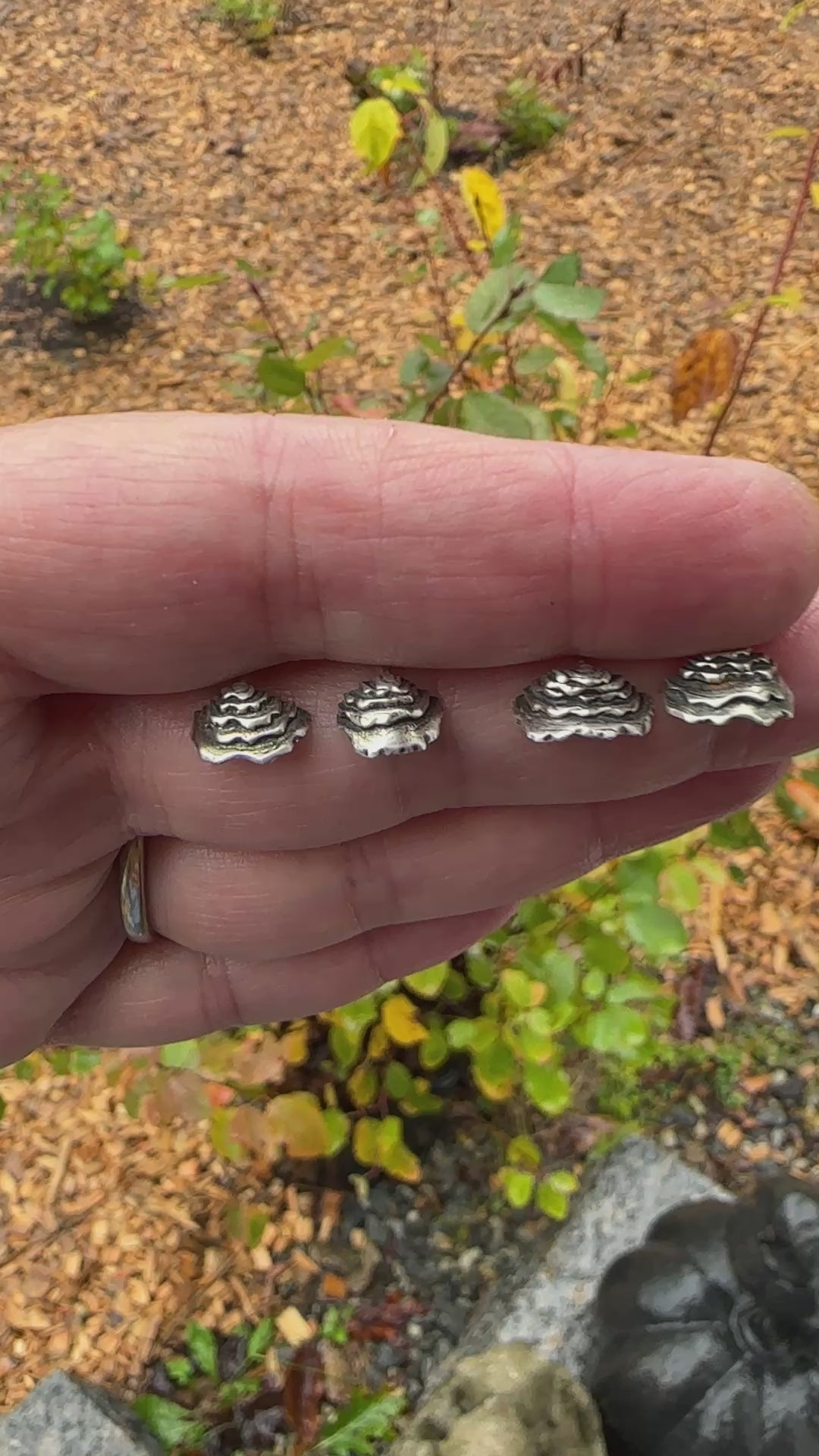 A video showing 4 handmade sterling silver turkey tail mushroom stud earrings being held in a hand showing their texture. 
