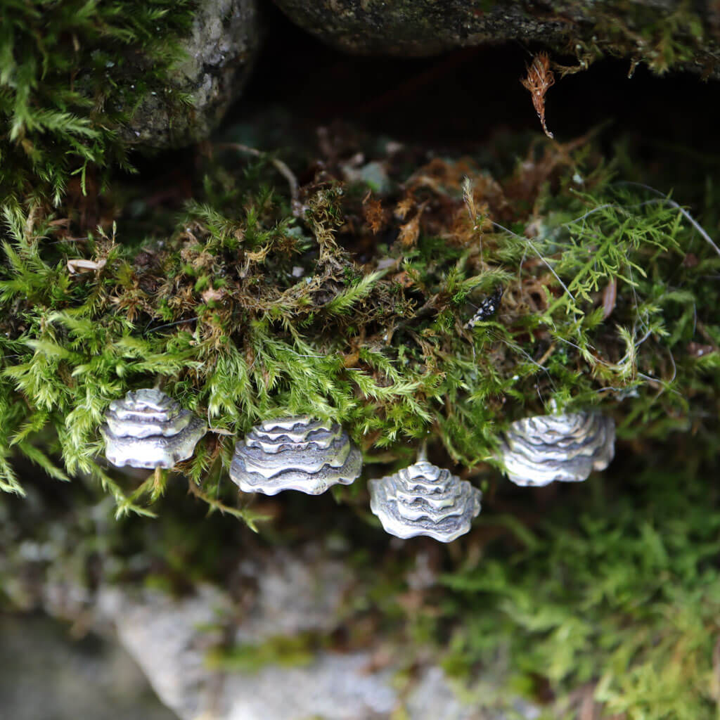 Turkey Tail Shelf Mushroom Stud Earrings
