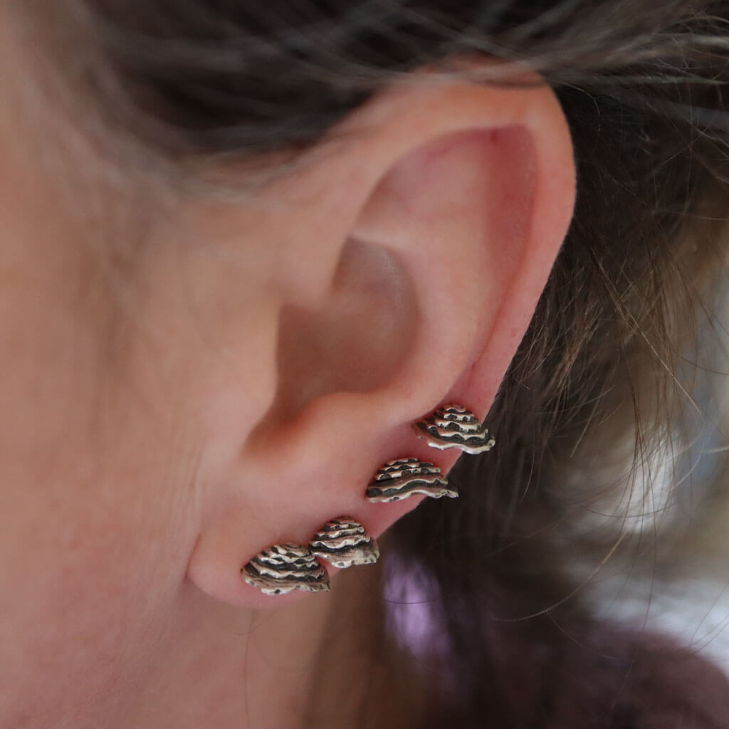 Turkey Tail Shelf Mushroom Stud Earrings