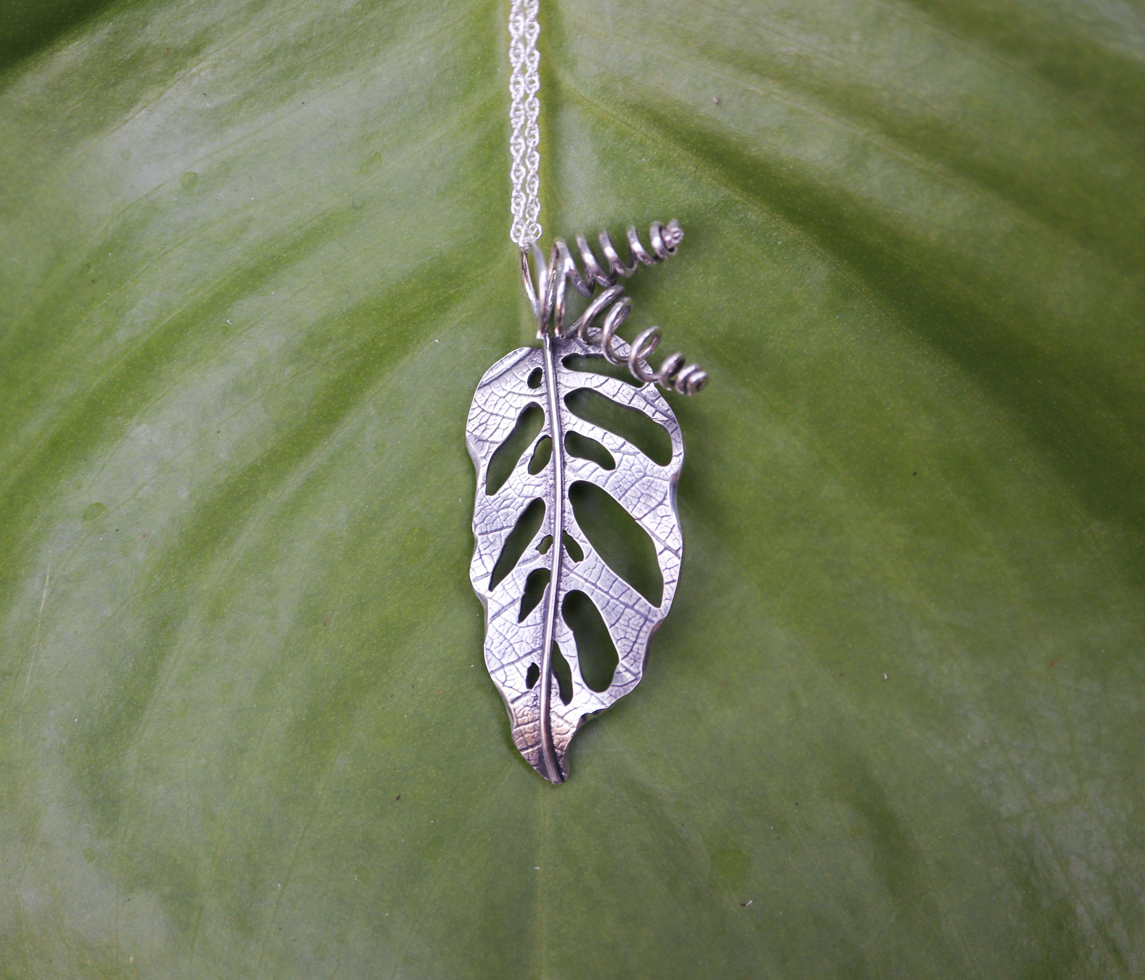 a handmade sterling silver monstera adansonii pendant on a necklace shown in front of a green leaf