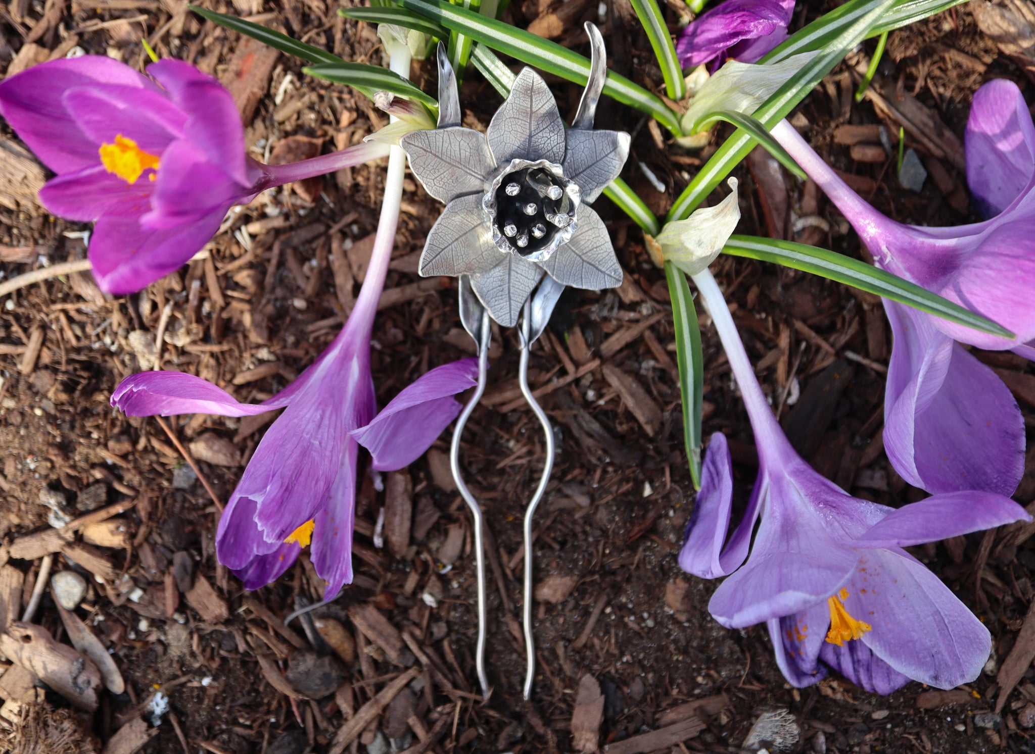 A sterling silver daffodil hair pick is shown tucked in some bright purple crocus flowers. 