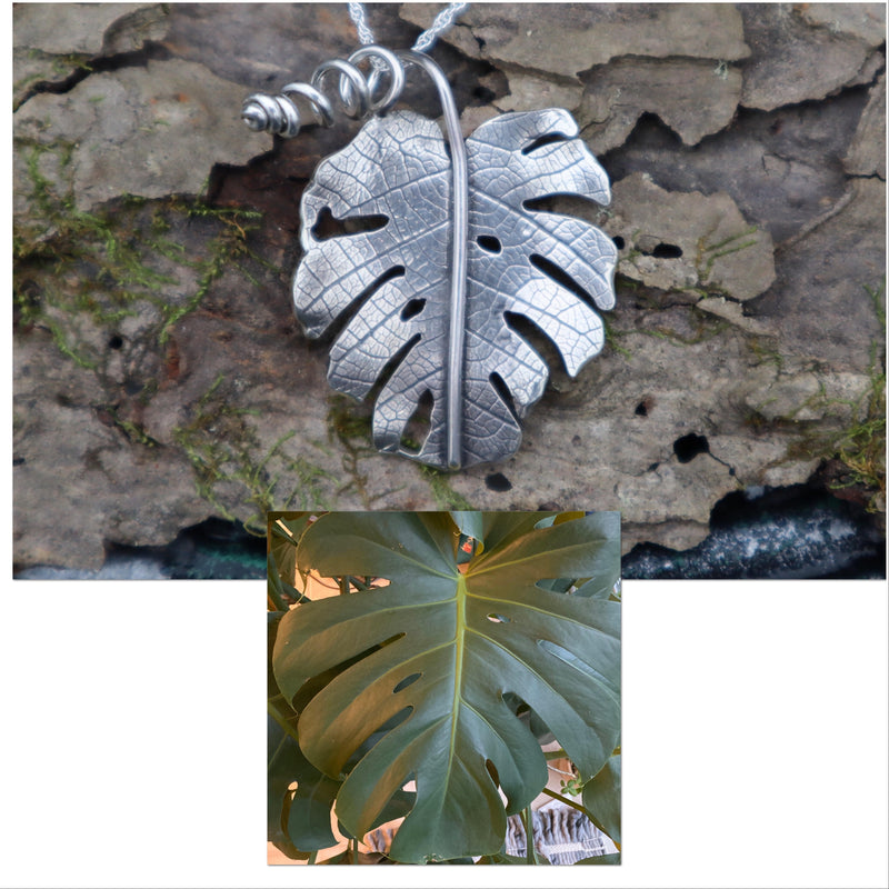 A photo of a real monstera deliciosa leaf that I made a sterling silver leaf to exactly replicate so that it can be worn on a necklace. 