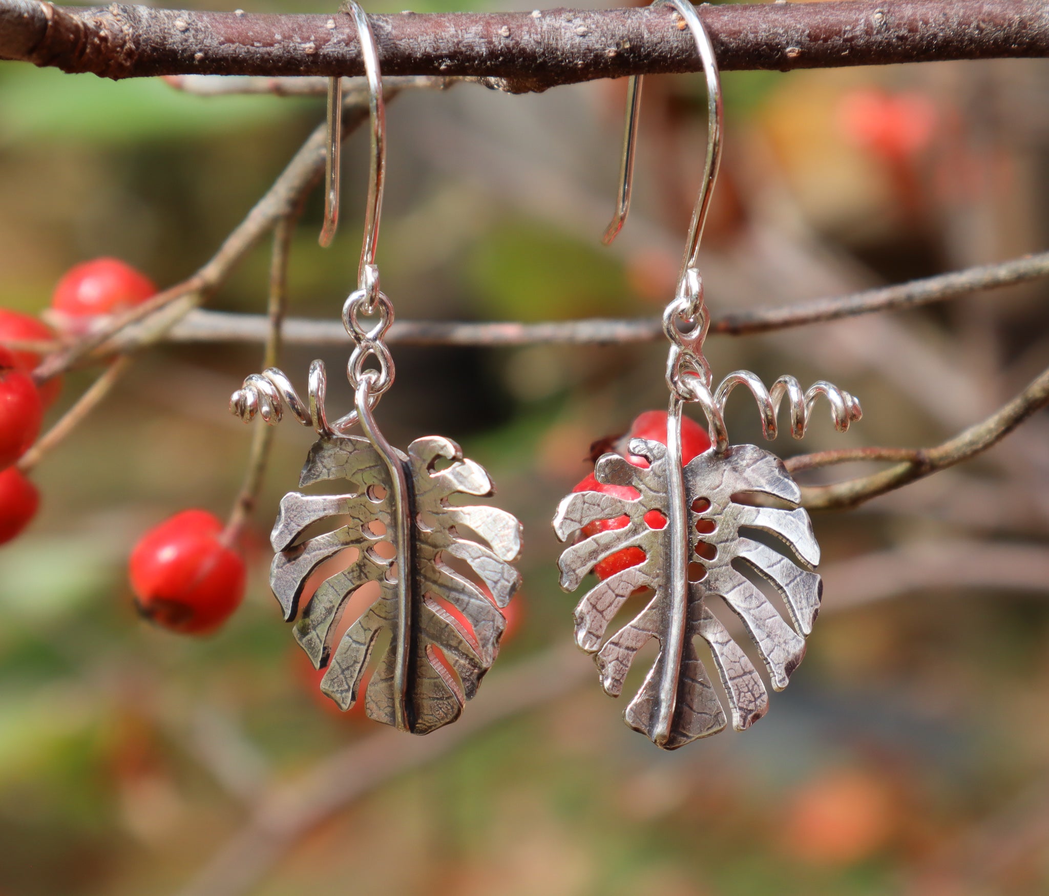 A pair of sterling silver handmade mosntera deliciosa dangle earrings shown on a tree branch with bright red berries in the background. 